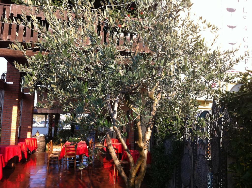 Manuela Le Quattro Coppe Otel Desenzano del Garda Dış mekan fotoğraf